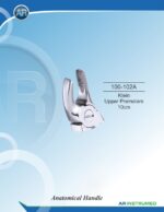 Klein Upper Premolars 10cm – Bild 2