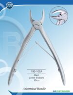 Klein Lower Incisors 10cm