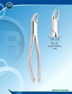 Fig.18L Upper Molars, Left