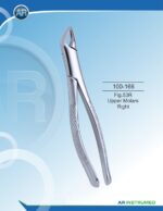Fig.53R Upper Molars Right - Image 2