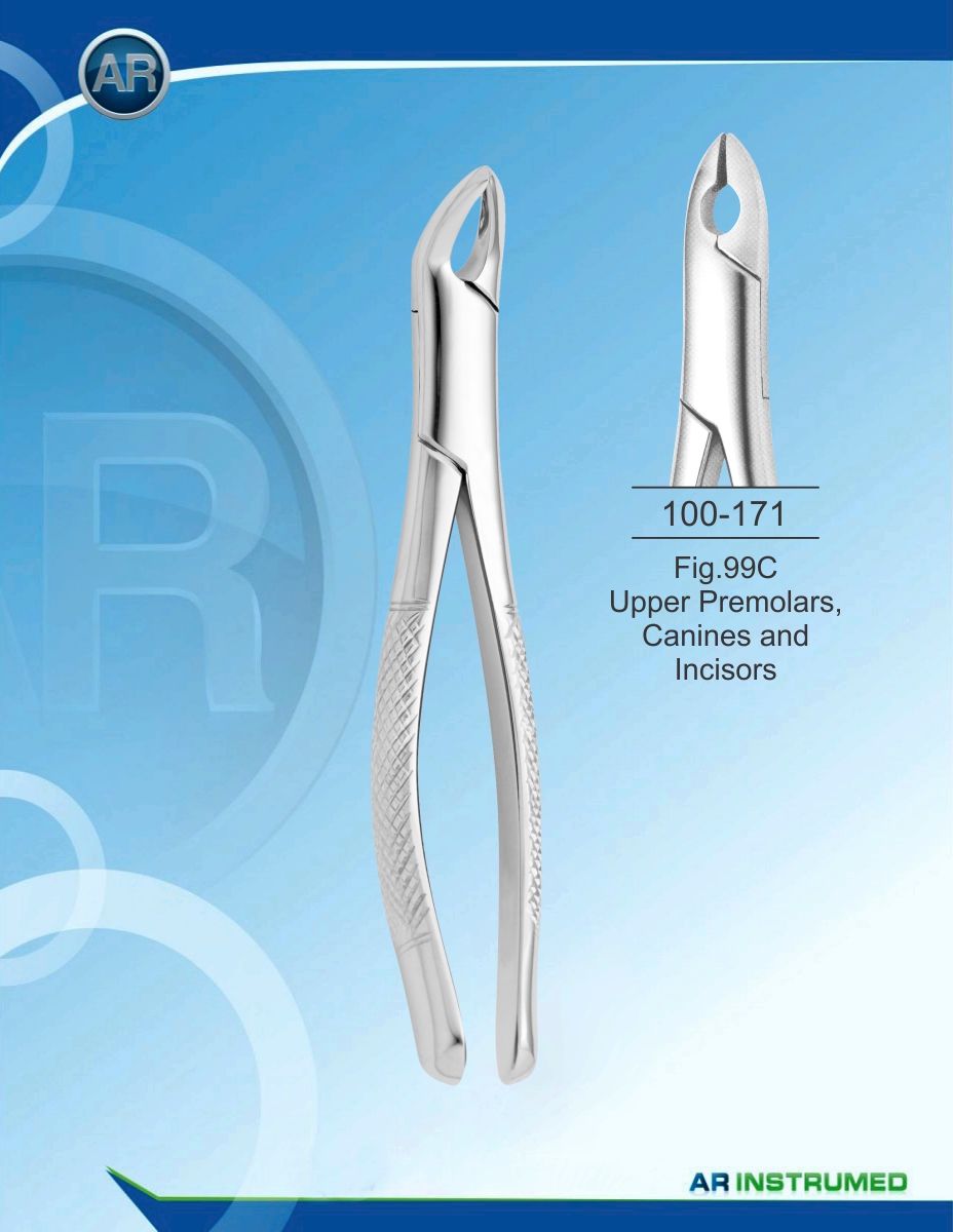 100-171-002.jpg Fig.99C Upper Premolars, Canines and Incisors – Image 1