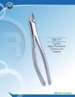 Fig.99C Upper Premolars, Canines and Incisors – Image 2