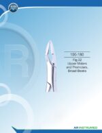 Fig.32 Upper Molars and Premolars, Broad Beaks - Image 3