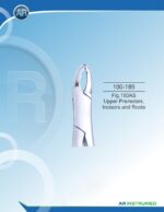 Fig.150AS Upper Premolars, Incisors and Roots – Image 3