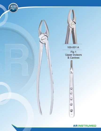 Fig.1 Upper Incisors & Canines 16.5cm