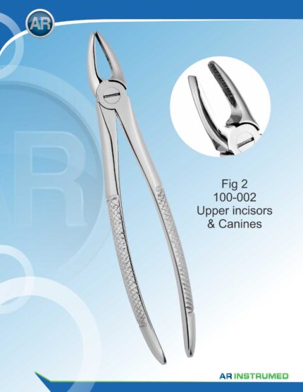 Abb.2 Obere Schneidezähne und Eckzähne