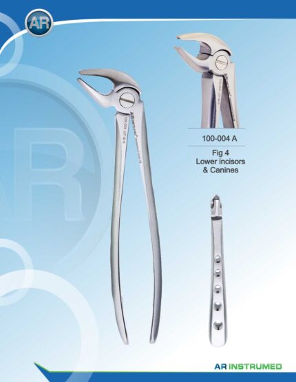 Fig.4 Lower Incisors & Canines 16.5cm