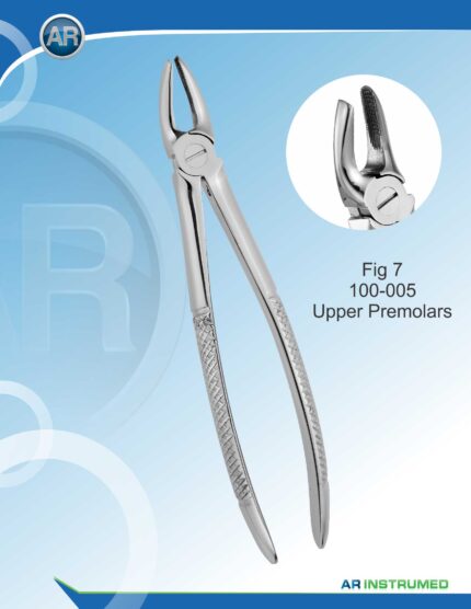 Fig.7 Prémolaires supérieures