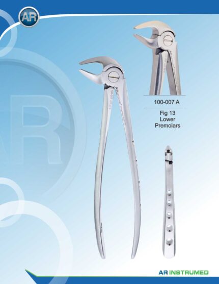 Fig.13 Lower Premolars 15cm