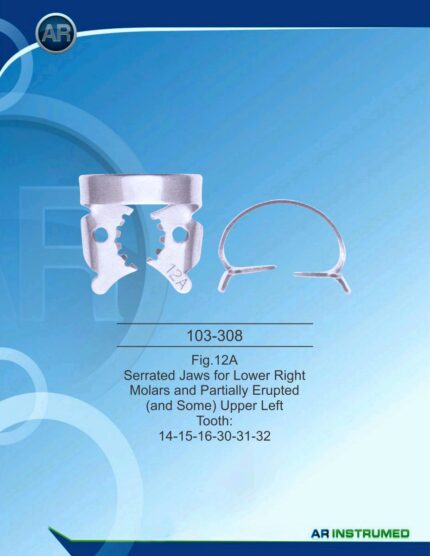 Serrated Jaws For Lower Right Molars and Partially Erupted (and some) Upper Left Tooth:14-15-16-30-31-32